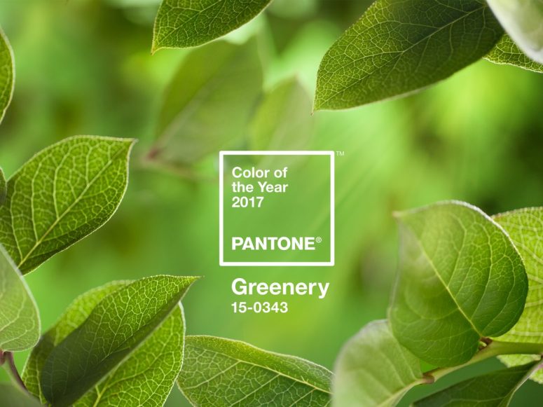 pantone-color-of-the-year-2017-greenery-15-0343-leaves-2732x2048-1200x900